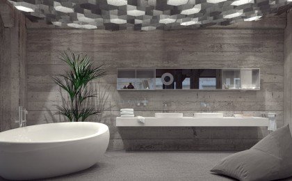 gray bathrooms